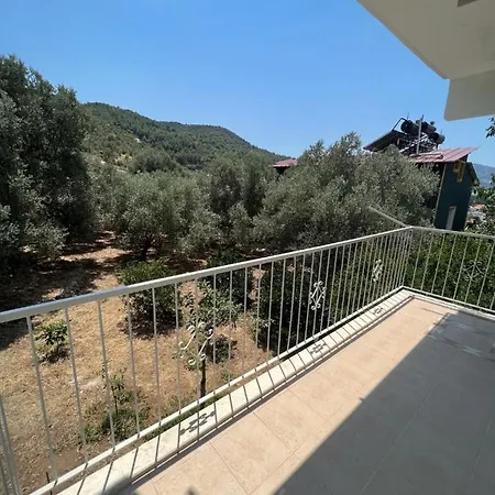 Sahin Tepesi 아파트